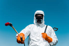 Best Mosquito Control  in Minden, LA